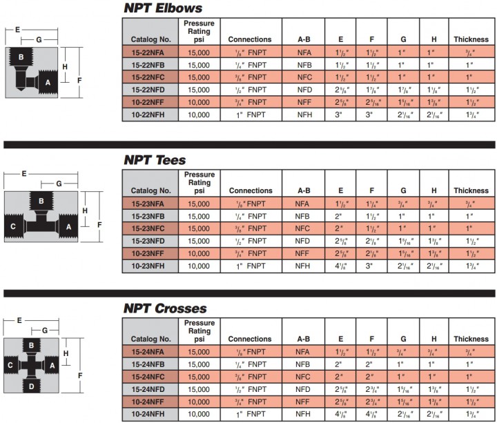 npt v04
